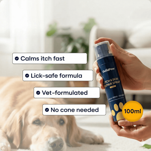 Good Paw | Itch-Free Spray